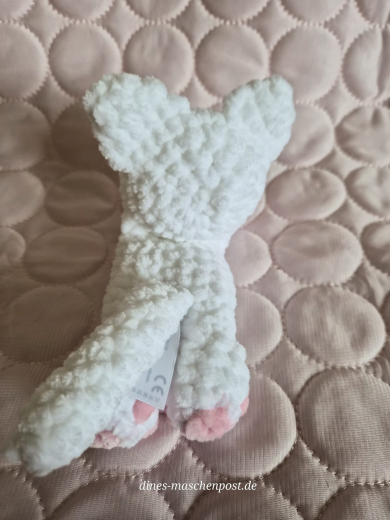 Katze Lilly